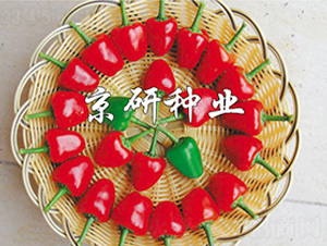 ����166-�����N��-����