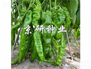 ����2̖-�����N��-����