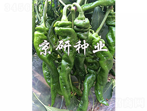 ����3̖-�����N��-����