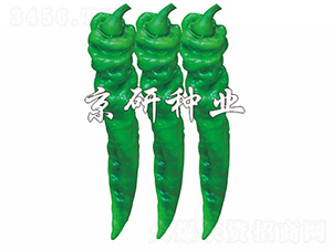 ����79-�����N��-����