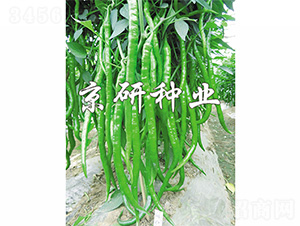 ����2̖-�����N��-����