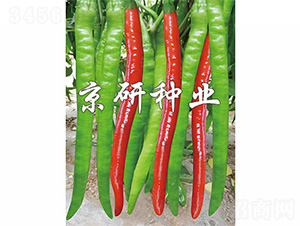 ����4̖-�����N��-����