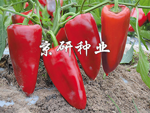 ��������3̖-�����N��-����