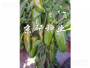 ���T3̖-�����N��-����