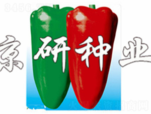 ���T89-�����N��-����