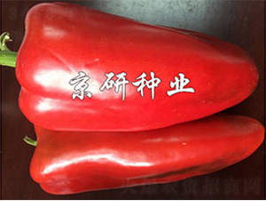 ���T160-�����N��-����