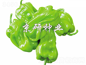 ��Ƥ2̖-�����N��-����