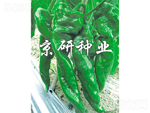 ����92-�����N��-����