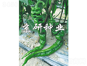 ����47-�����N��-����