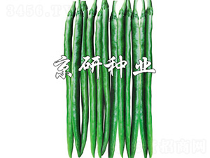 ����1629-�����N��-����