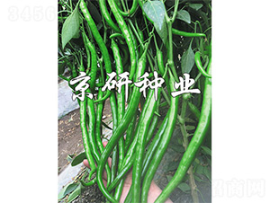 ����181-�����N��-����