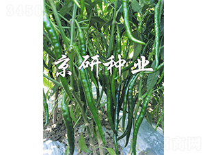 ����2̖-�����N��-����