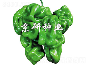 ���а�Ƥ4̖-�����N��-����