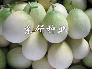 ����2008-��ϷN��-����