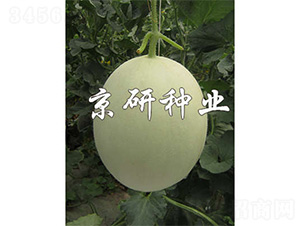 �����2̖-��ϷN��-����