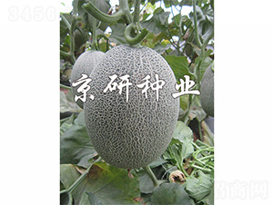 ������18-��ϷN��-����