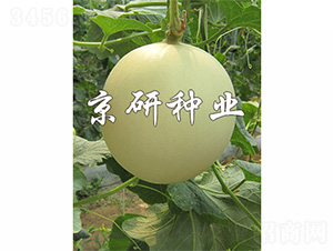 �����1̖-��ϷN��-����