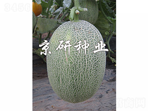 ������28-��ϷN��-����