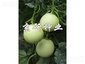 ����-��ϷN��-����