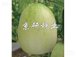 ����10̖-��ϷN��-����