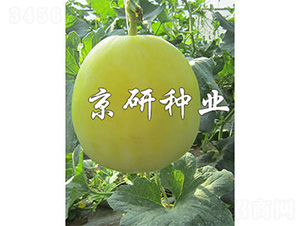 ����26-��ϷN��-����