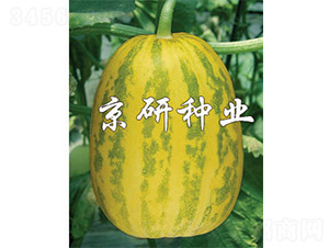 ����30-��ϷN��-����