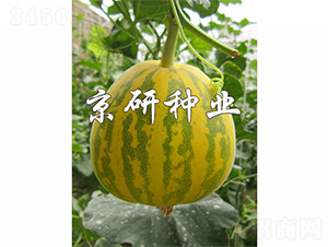 ����826-3-��ϷN��-����