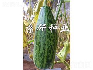 ����Ƥ��-��ϷN��-����