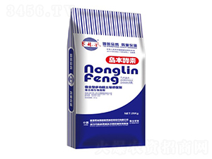 �๦�������ޏ̈́�-�u������-��S��