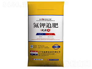 ���׷��25-0-5-�ʰ���-�|��