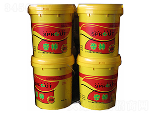 ����_ʩ��-�|��