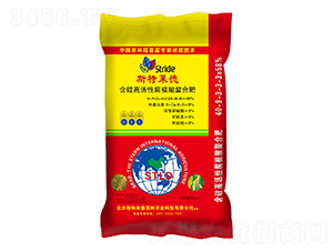 ����߻��Ը�ֲ�����Ϸ�24-8-8-˹���R��-�|��