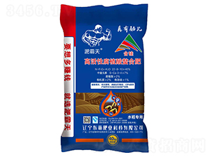 ˮ����(zhu��n)�ø߻��Ը�ֲ�����Ϸ�22-8-10-�ǰ���-�|��