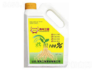 �ø�-���ǷʘI(y��)