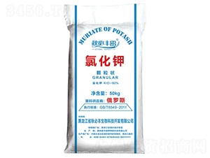 �Ȼ��-����S��