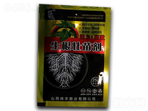 �������焩-�G�S�ʘI(y��)