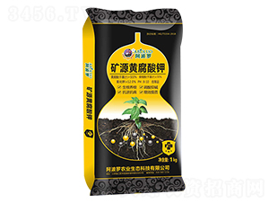 �VԴ�S�����-�����_