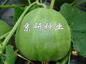 ����G��2̖(h��o)-��ϷN��-����