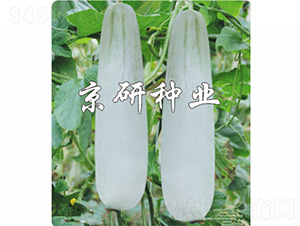 ������Ǵ�-��ϷN��-����