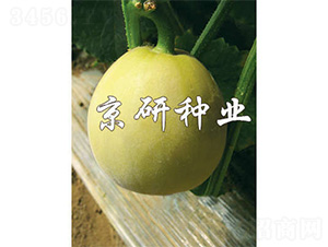 ����417-��ϷN��-����