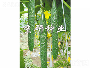 ����108-�S�ϷN��-����