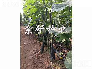 ���S440-�S�ϷN��-����