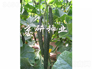 ���S320-�S�ϷN��-����