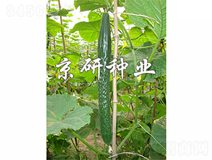 ����407-�S�ϷN��-����