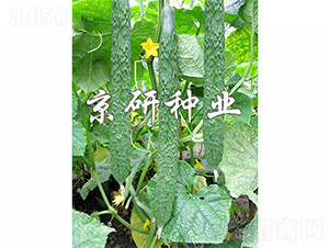 ��������2̖(h��o)-�S�ϷN��-����