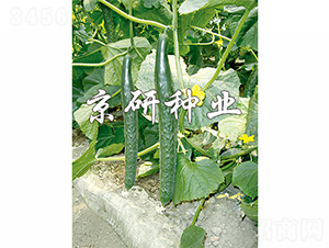 ������401-�S�ϷN��-����