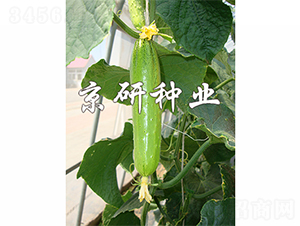 ���к���5̖-�S�ϷN��-����