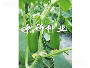 �G���`12̖-�S�ϷN��-����