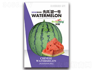 ���L(f��ng)��һ̖(h��o)-���ϷN��-���L(f��ng)