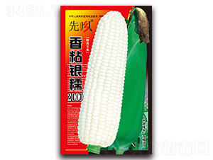 ��ճ�yŴ2000-Ŵ���׷N��-���L